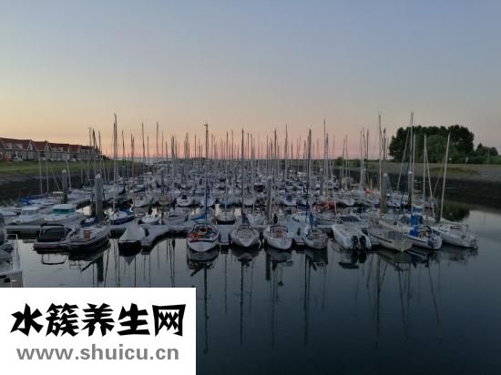 吃香蕉的副作用