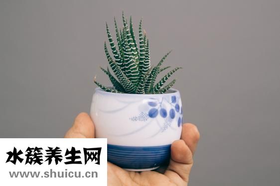 脫皮是什么原因