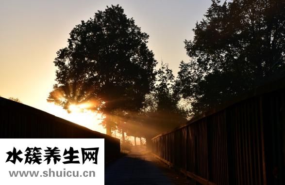 腎上腺瘤是什么病