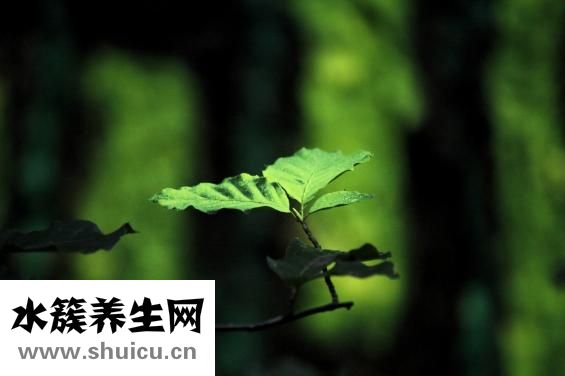 心臟供血不足的前兆