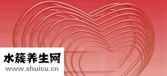 心臟房顫如何治療