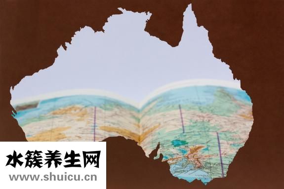 四價和九價的區別