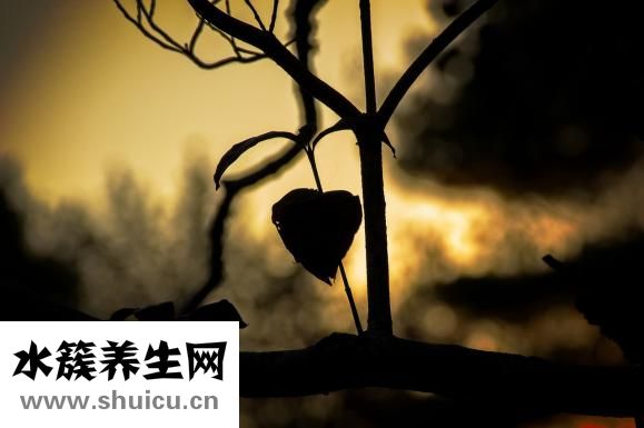 細(xì)菌性感冒會傳染么