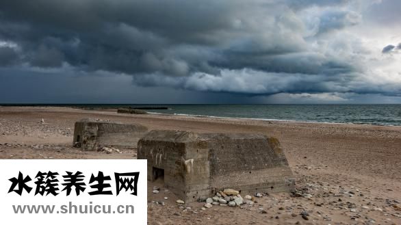 孕婦能吃紅薯嗎