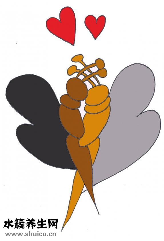 什么食物對心臟好