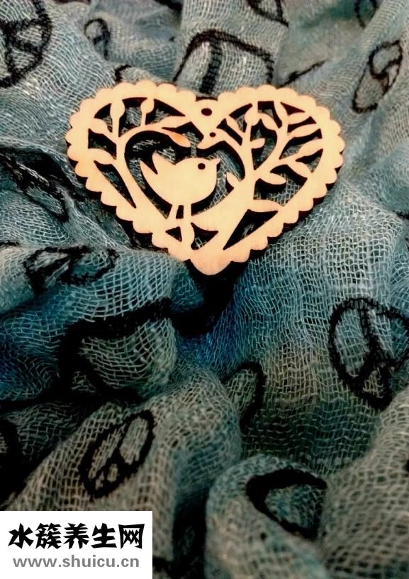 什么食物對心臟好