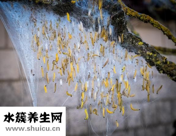 水質(zhì)檢測(cè)多少為正常