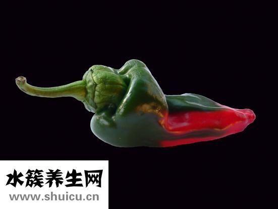 銀杏是什么植物