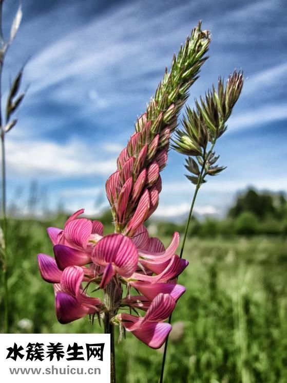孕婦能吃紅豆粥嗎