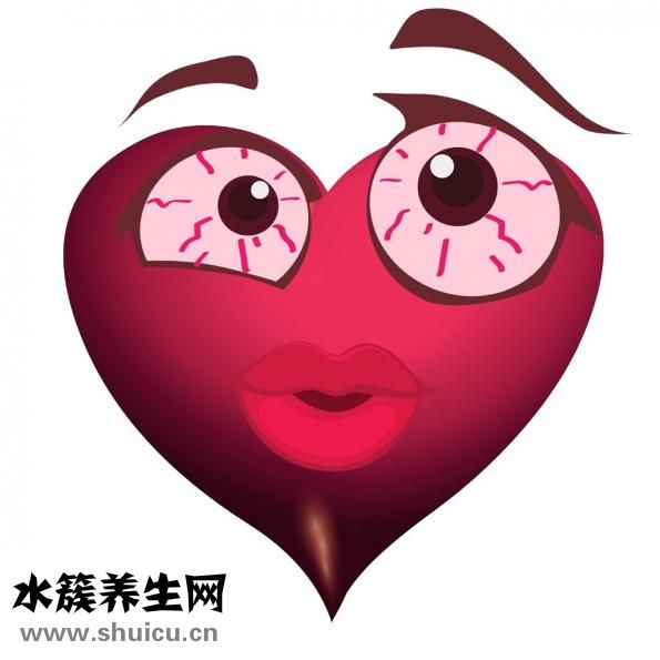 菊花茶的功效與作用