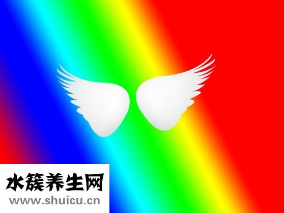 菠蘿蜜的功效與作用