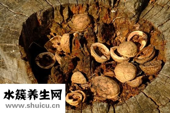 無(wú)花果的功效與作用