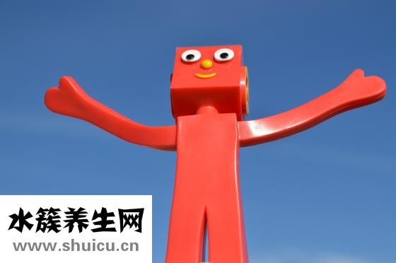 板栗的功效與作用