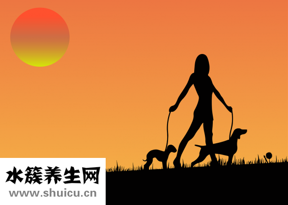 白茶的功效與作用