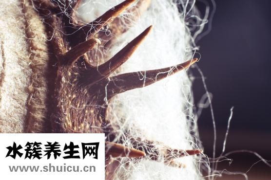 蘋果醋的功效與作用