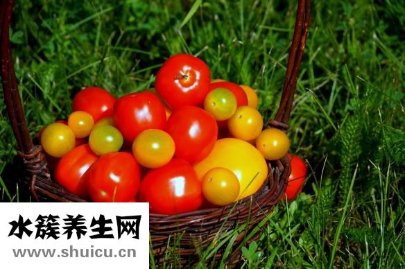 沙棘的功效與作用