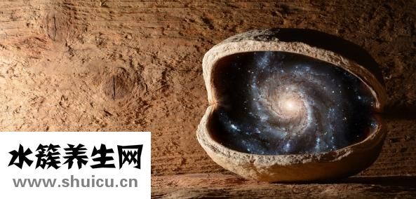 橘紅的功效與作用