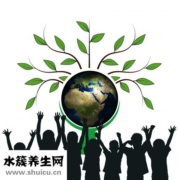 姜黃的功效與作用