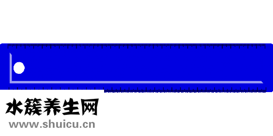 金錢草的功效與作用