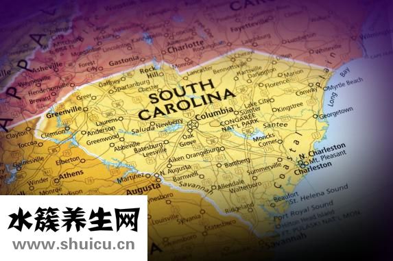 護肝片的功效與作用