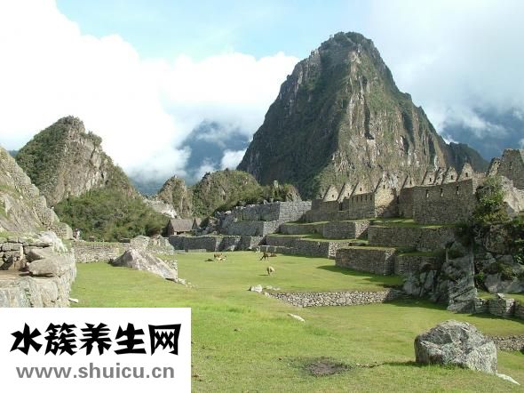 痔瘡是什么樣子的