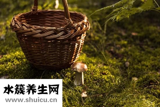 黃連的功效與作用