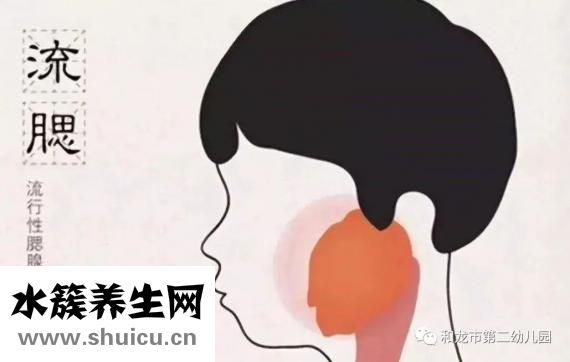 連翹的功效與作用