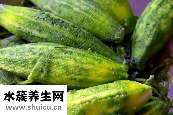 苦瓜的功效與作用