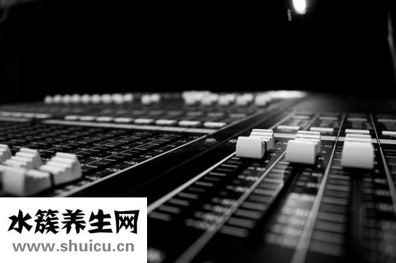 人體器官分布圖