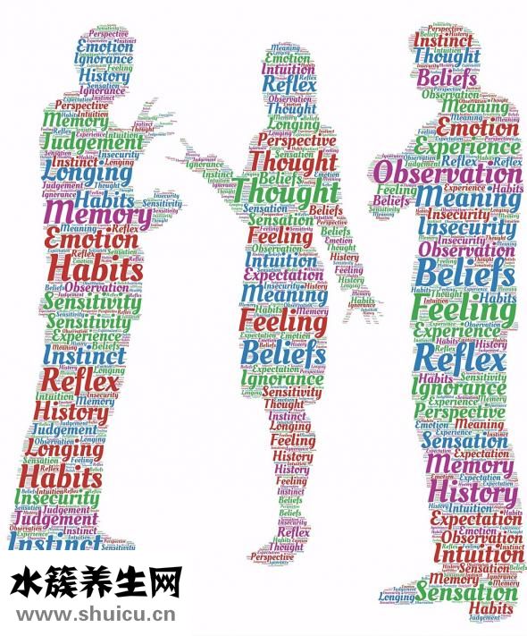 酸棗仁的功效與作用