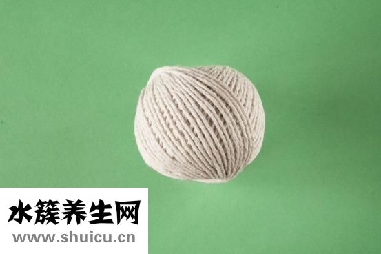 芡實(shí)的作用與功效