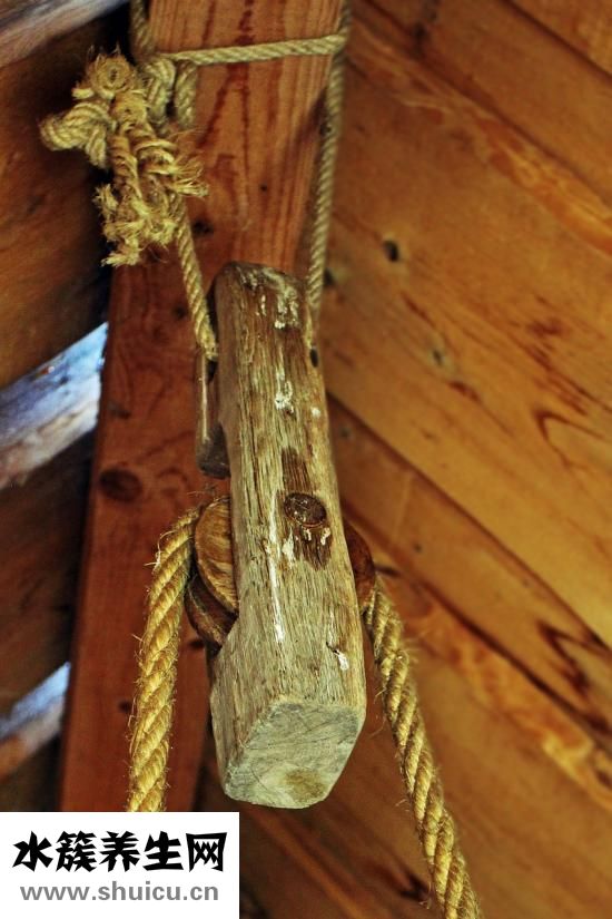 茵陳的功效與作用