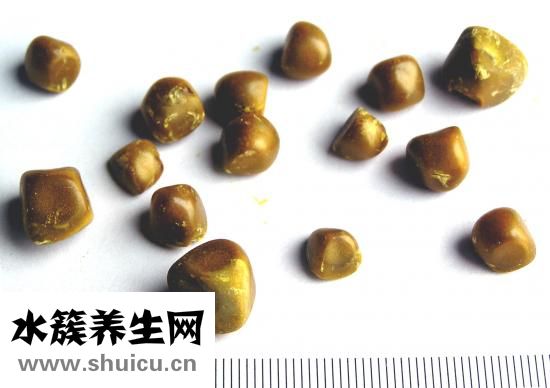 地瓜的功效與作用