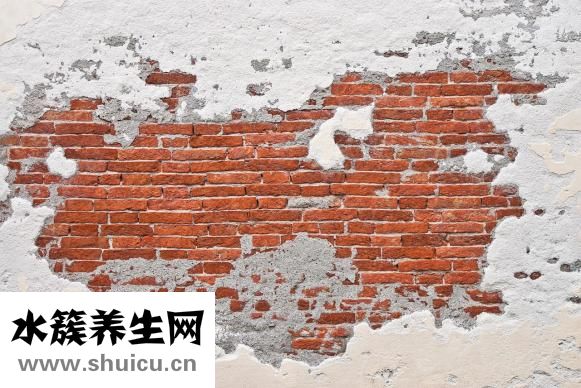 蕎麥面粉的做法大全