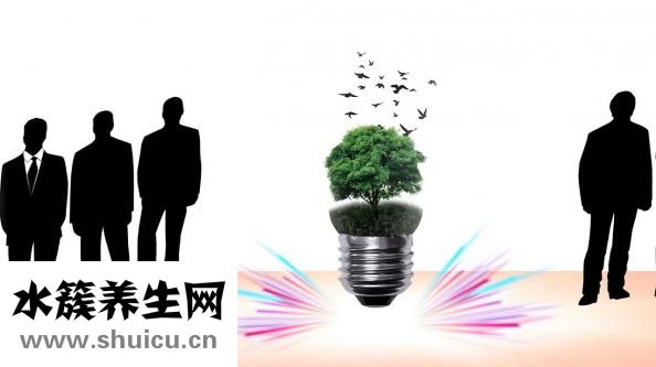 丙氨酸氨基轉(zhuǎn)移酶