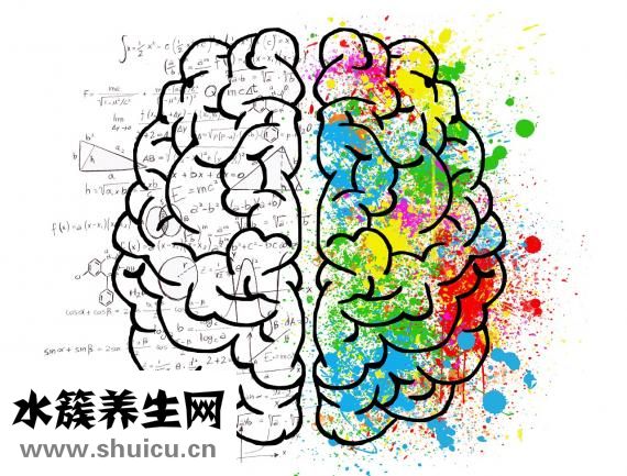 卵磷脂的功效與作用