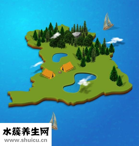 人體器官分布圖