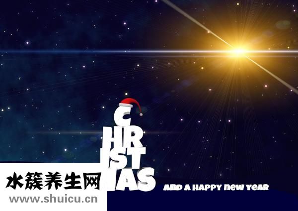 血型遺傳規律表