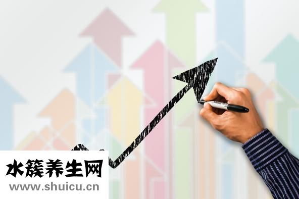 冬蟲夏草的價(jià)格