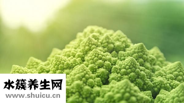 骨碎補的功效與作用