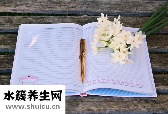 獨活的功效與作用