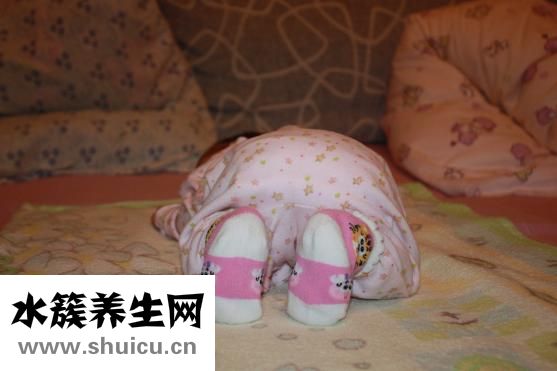 厚樸的功效與作用