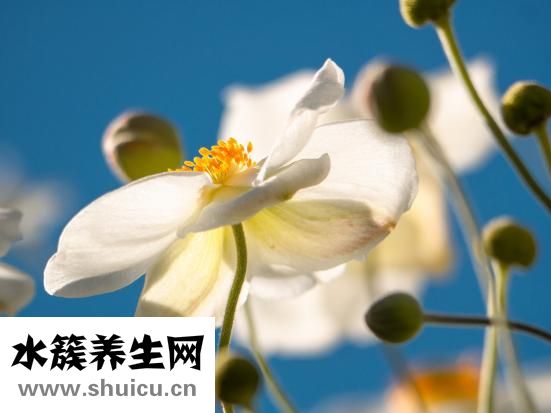 人有三急是哪三急