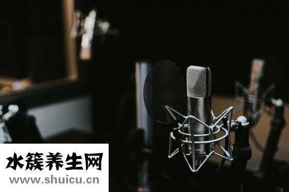 內臟器官分布圖