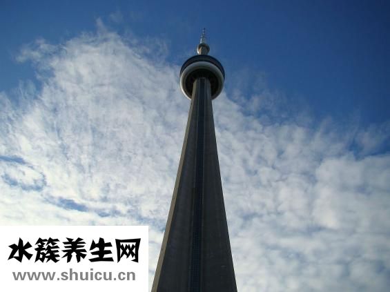 復方甲氧那明膠囊