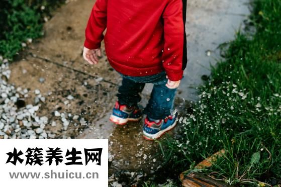 黃豆的功效與作用