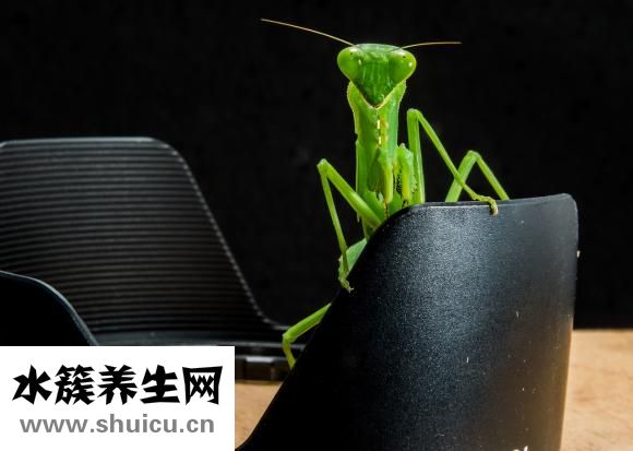 帶狀皰疹怎么治療