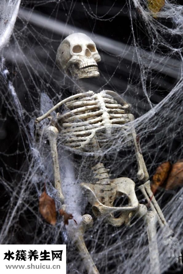 骨碎補的功效與作用