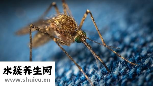 石女是什么意思