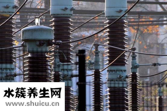 大白菜怎么做好吃